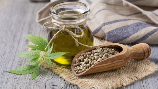 CANNABIS_SATIVA_HANF_-SAMENÖL